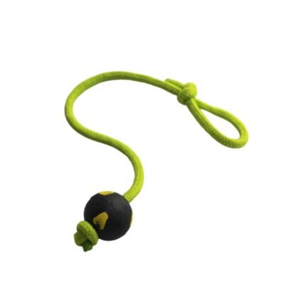 Evolution Pets Strong Soga Pelota Lisa (XS8)